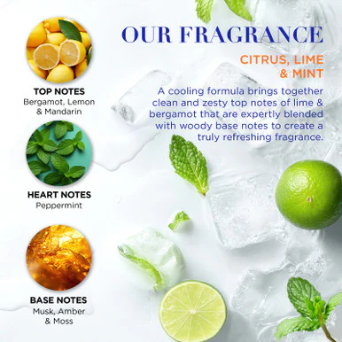 Baylis & Harding Citrus, Lime & Mint Men's Invigorating Shower & Prep Gift Set - Image 3