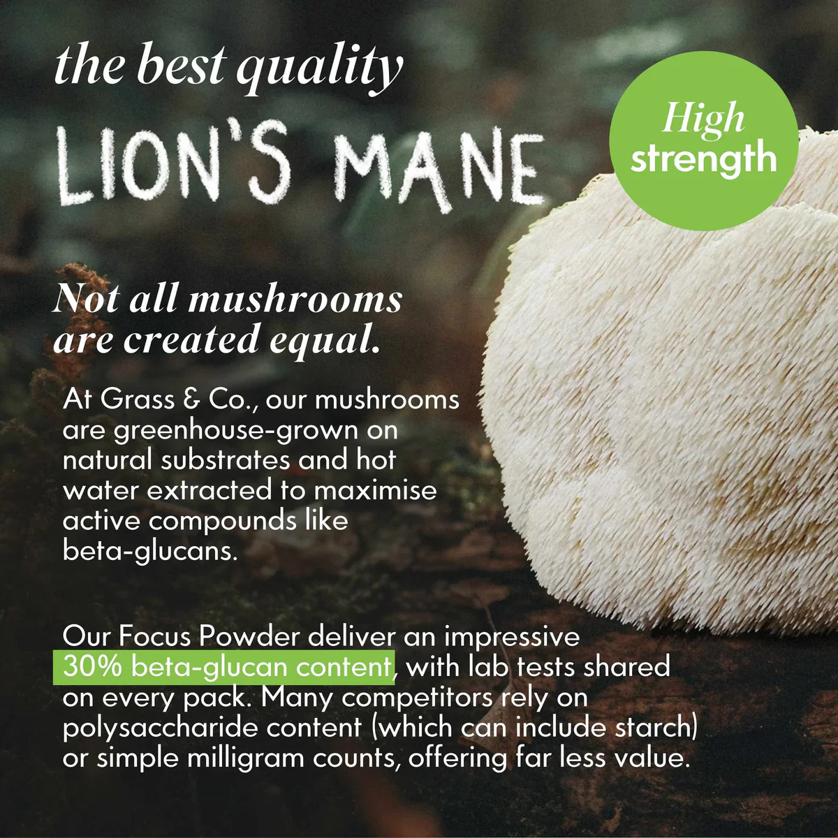 Grass & Co. FOCUS Lion's Mane Mushrooms Powder with Ginseng + Omega-3 100g - Image 7