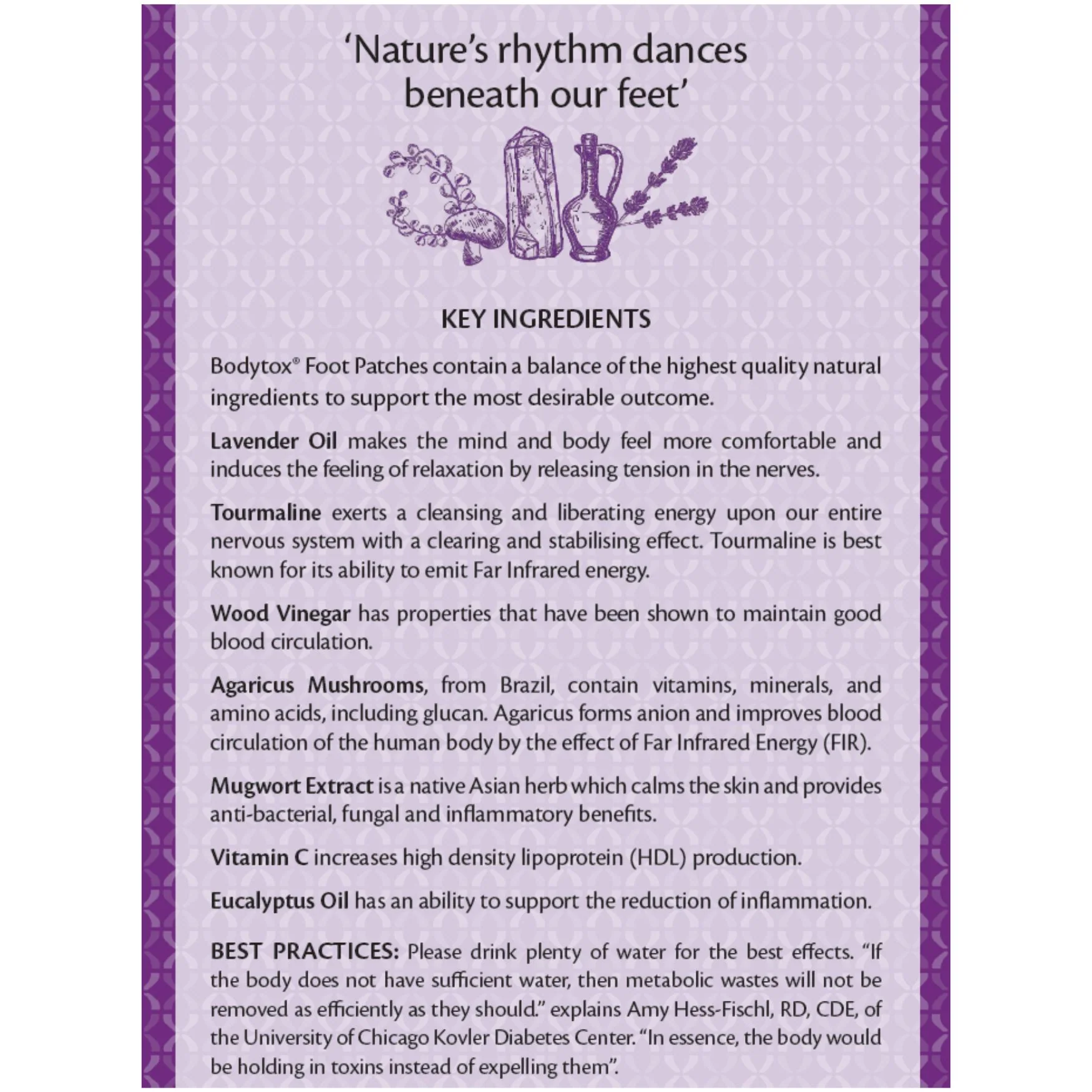 Lavender Sleep Foot Patches Box of 10 - Image 3